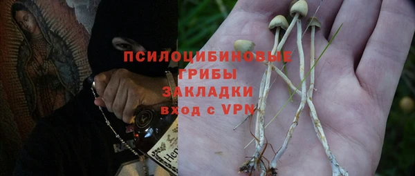 метамфетамин Богданович