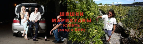 метамфетамин Богданович
