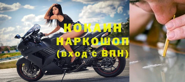 кокс Богородицк