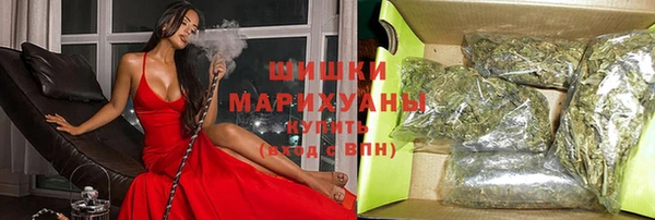 индика Баксан